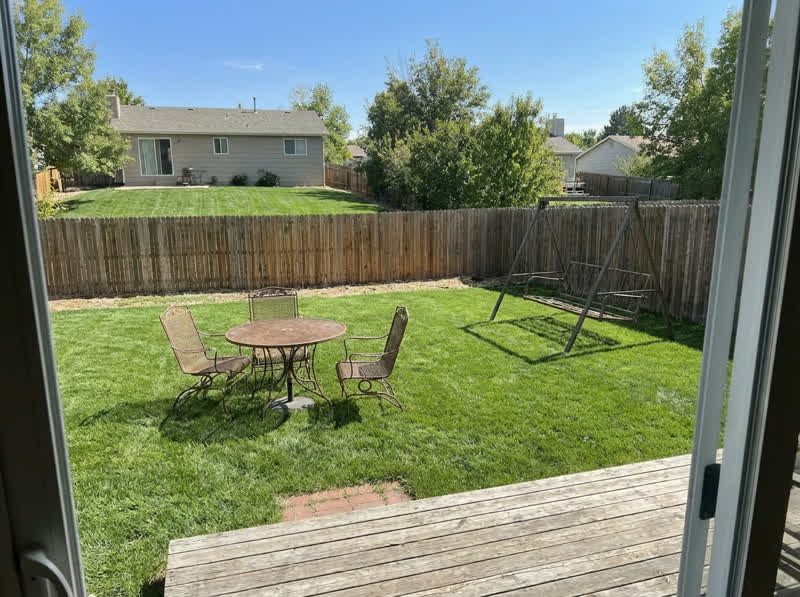 Yard Waste Removal - After