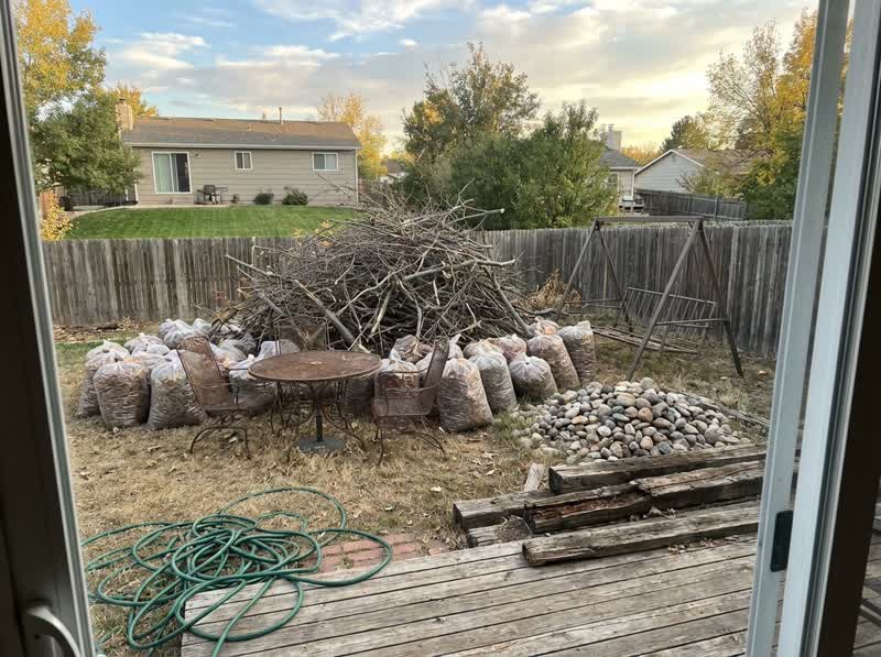 Yard Waste Removal - Before